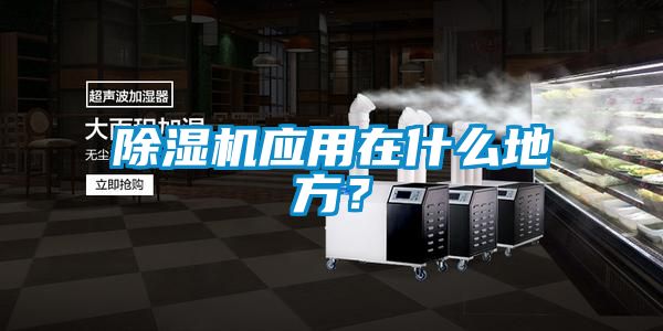 除濕機應(yīng)用在什么地方？