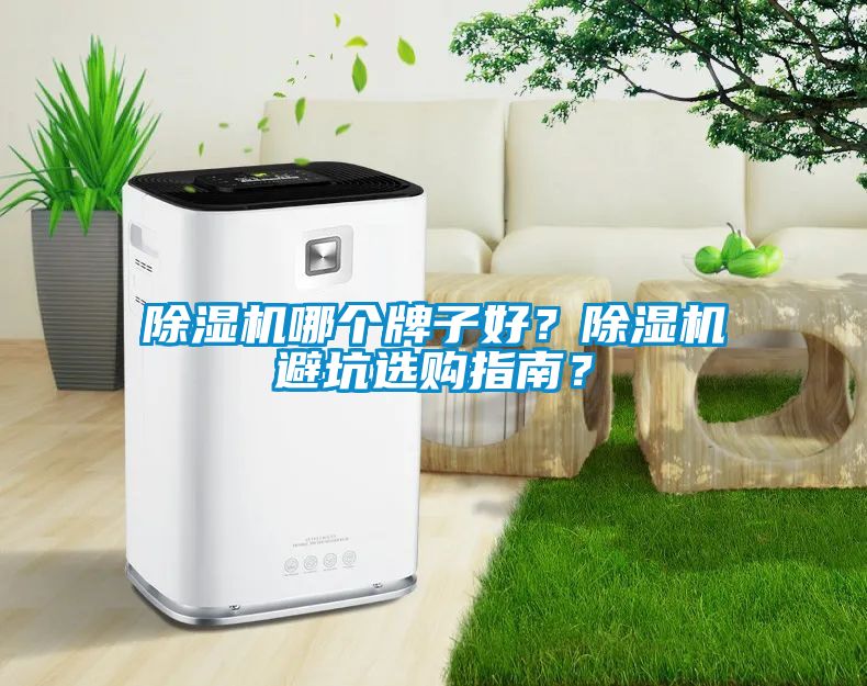 除濕機(jī)哪個(gè)牌子好？除濕機(jī)避坑選購(gòu)指南？