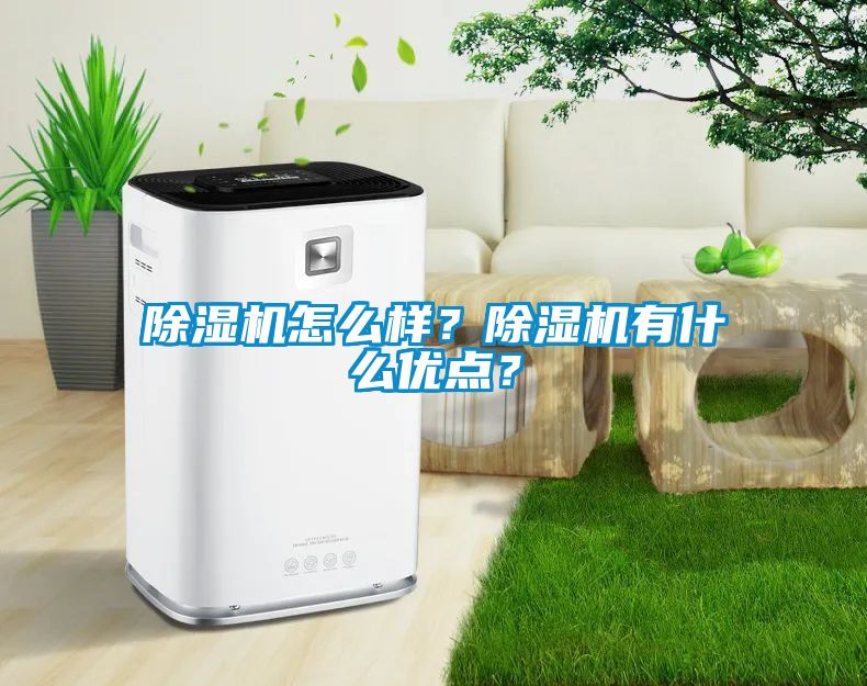 除濕機怎么樣？除濕機有什么優(yōu)點？