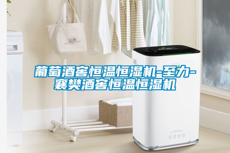 葡萄酒窖恒溫恒濕機(jī)-至力-襄樊酒窖恒溫恒濕機(jī)