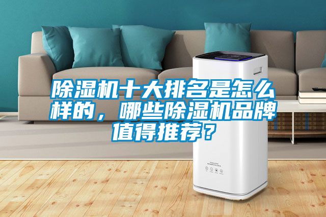 除濕機十大排名是怎么樣的，哪些除濕機品牌值得推薦？