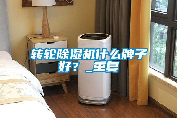 轉(zhuǎn)輪除濕機(jī)什么牌子好？_重復(fù)