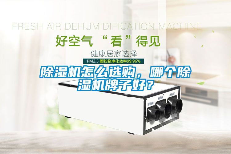 除濕機(jī)怎么選購，哪個(gè)除濕機(jī)牌子好？