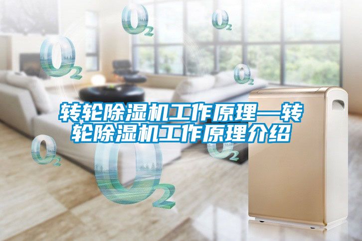 轉(zhuǎn)輪除濕機工作原理—轉(zhuǎn)輪除濕機工作原理介紹