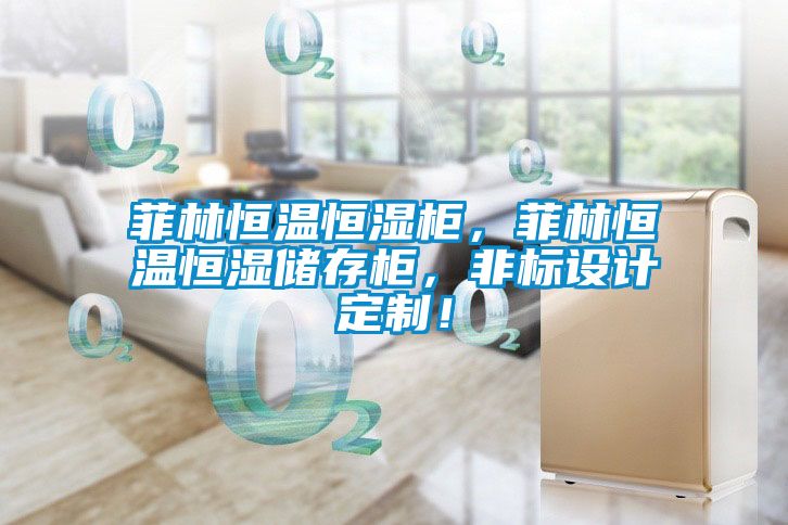 菲林恒溫恒濕柜，菲林恒溫恒濕儲(chǔ)存柜，非標(biāo)設(shè)計(jì)定制！