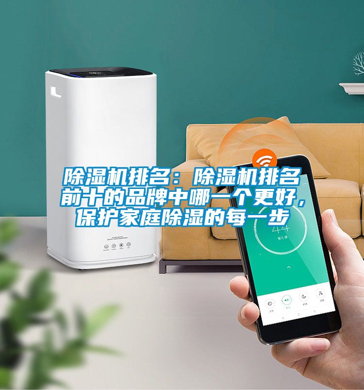除濕機(jī)排名：除濕機(jī)排名前十的品牌中哪一個更好，保護(hù)家庭除濕的每一步