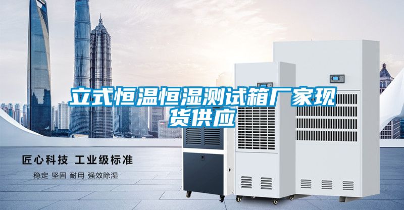立式恒溫恒濕測(cè)試箱廠家現(xiàn)貨供應(yīng)