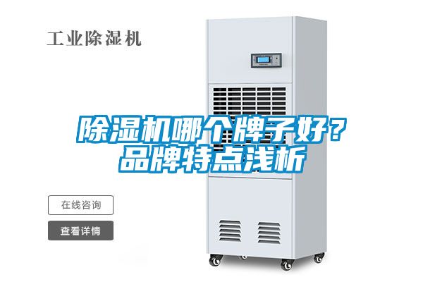 除濕機(jī)哪個(gè)牌子好？品牌特點(diǎn)淺析