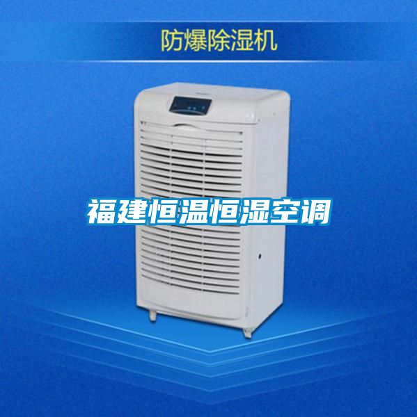 福建恒溫恒濕空調(diào)
