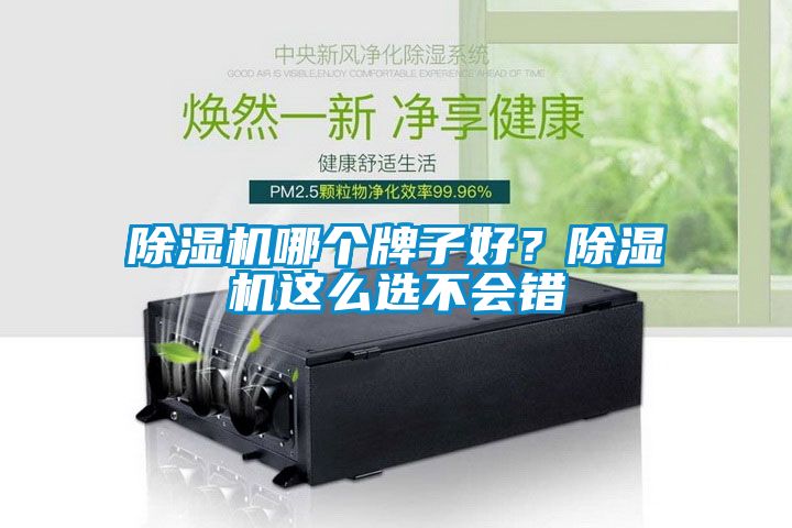 除濕機(jī)哪個(gè)牌子好？除濕機(jī)這么選不會(huì)錯(cuò)