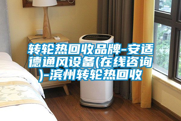 轉(zhuǎn)輪熱回收品牌-安適德通風(fēng)設(shè)備(在線咨詢)-濱州轉(zhuǎn)輪熱回收