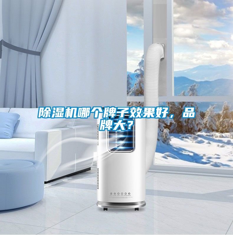 除濕機(jī)哪個(gè)牌子效果好，品牌大？