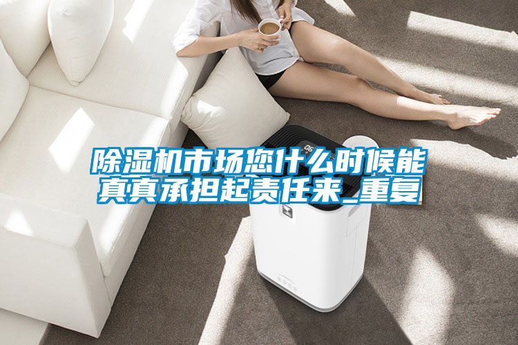 除濕機市場您什么時候能真真承擔(dān)起責(zé)任來_重復(fù)