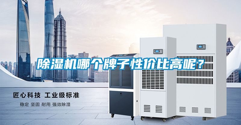 除濕機(jī)哪個(gè)牌子性價(jià)比高呢？