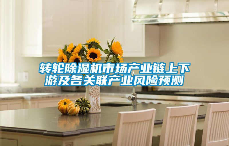 轉(zhuǎn)輪除濕機市場產(chǎn)業(yè)鏈上下游及各關(guān)聯(lián)產(chǎn)業(yè)風險預(yù)測