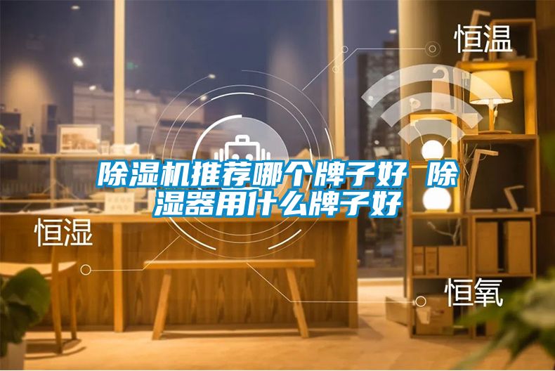 除濕機(jī)推薦哪個(gè)牌子好 除濕器用什么牌子好