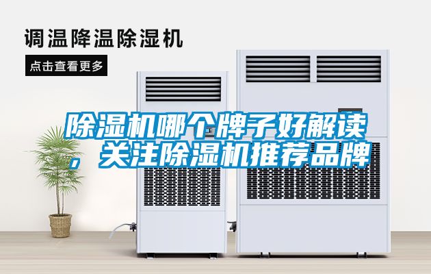 除濕機(jī)哪個(gè)牌子好解讀，關(guān)注除濕機(jī)推薦品牌