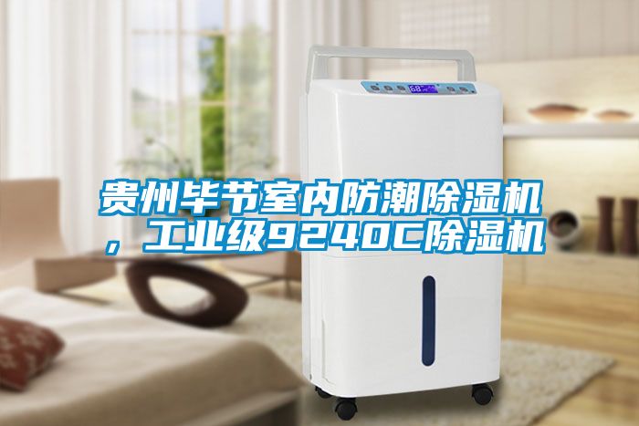 貴州畢節(jié)室內(nèi)防潮除濕機，工業(yè)級9240C除濕機