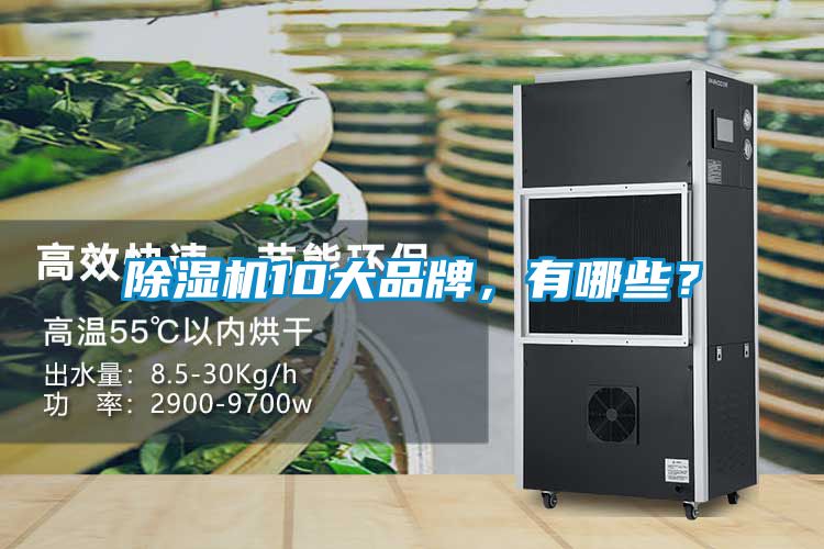 除濕機10大品牌，有哪些？