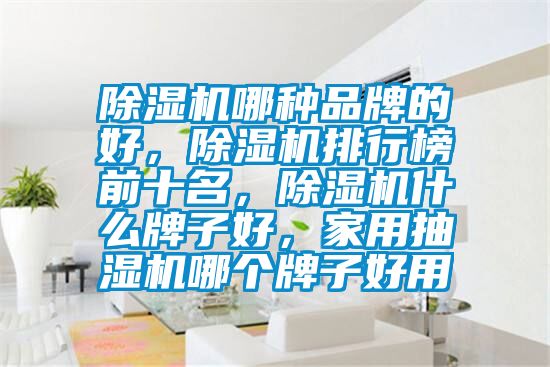 除濕機(jī)哪種品牌的好，除濕機(jī)排行榜前十名，除濕機(jī)什么牌子好，家用抽濕機(jī)哪個牌子好用