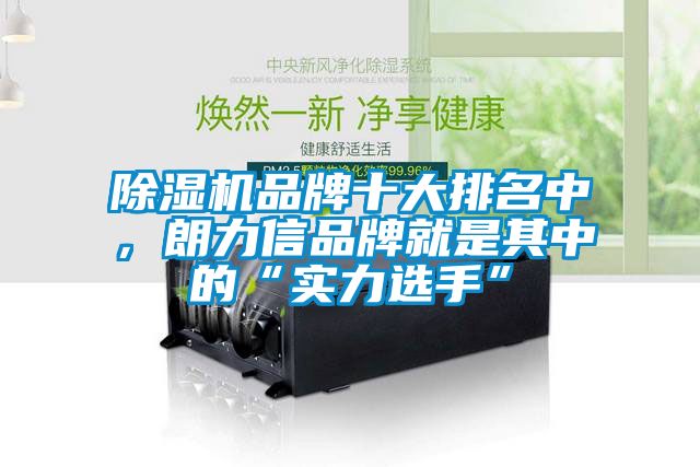 除濕機品牌十大排名中，朗力信品牌就是其中的“實力選手”
