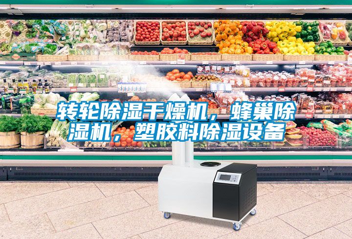 轉(zhuǎn)輪除濕干燥機(jī)，蜂巢除濕機(jī)，塑膠料除濕設(shè)備