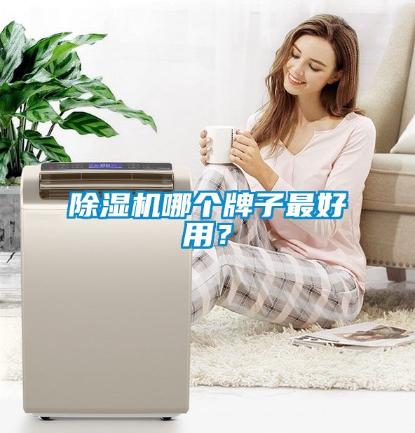 除濕機(jī)哪個(gè)牌子最好用？