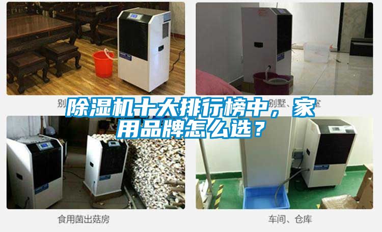 除濕機十大排行榜中，家用品牌怎么選？