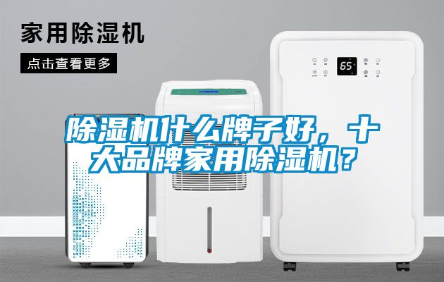 除濕機(jī)什么牌子好，十大品牌家用除濕機(jī)？