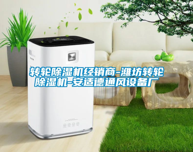 轉(zhuǎn)輪除濕機(jī)經(jīng)銷商-濰坊轉(zhuǎn)輪除濕機(jī)-安適德通風(fēng)設(shè)備廠