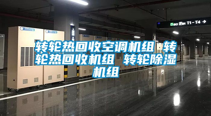 轉(zhuǎn)輪熱回收空調(diào)機(jī)組 轉(zhuǎn)輪熱回收機(jī)組 轉(zhuǎn)輪除濕機(jī)組