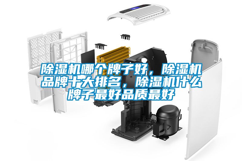除濕機(jī)哪個(gè)牌子好，除濕機(jī)品牌十大排名，除濕機(jī)什么牌子最好品質(zhì)最好