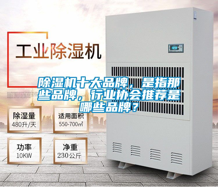 除濕機十大品牌，是指那些品牌，行業(yè)協(xié)會推薦是哪些品牌？