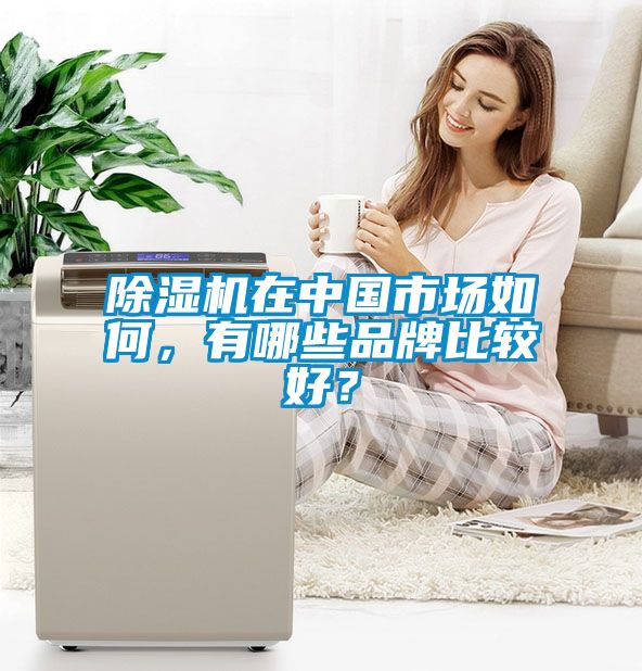 除濕機(jī)在中國市場如何，有哪些品牌比較好？