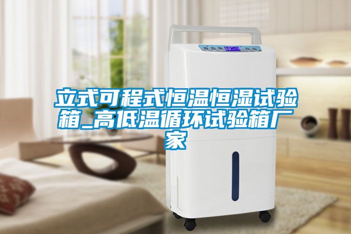立式可程式恒溫恒濕試驗(yàn)箱_高低溫循環(huán)試驗(yàn)箱廠家