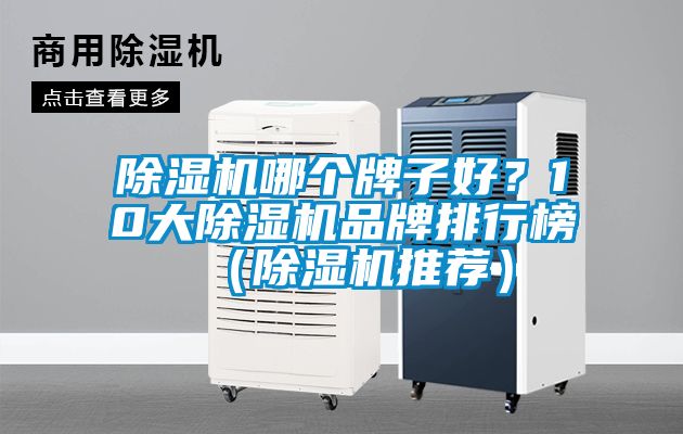 除濕機(jī)哪個(gè)牌子好？10大除濕機(jī)品牌排行榜（除濕機(jī)推薦）