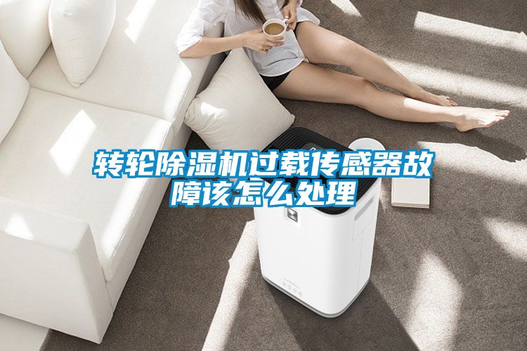 轉輪除濕機過載傳感器故障該怎么處理