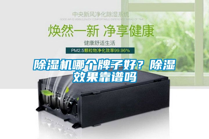 除濕機(jī)哪個(gè)牌子好？除濕效果靠譜嗎