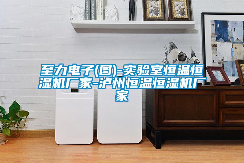 至力電子(圖)-實(shí)驗(yàn)室恒溫恒濕機(jī)廠家-瀘州恒溫恒濕機(jī)廠家