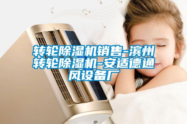 轉輪除濕機銷售-濱州轉輪除濕機-安適德通風設備廠