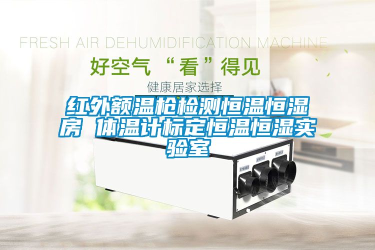 紅外額溫槍檢測恒溫恒濕房 體溫計標(biāo)定恒溫恒濕實驗室