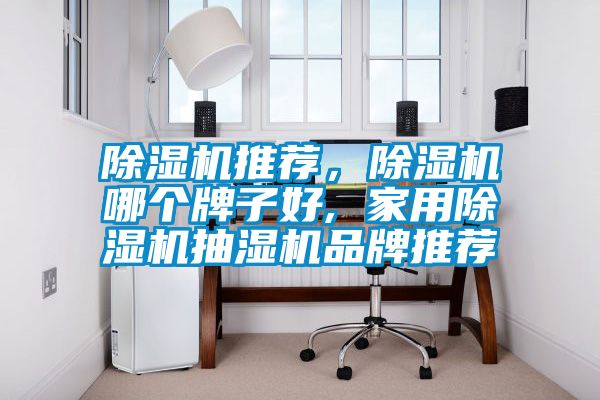 除濕機(jī)推薦，除濕機(jī)哪個牌子好, 家用除濕機(jī)抽濕機(jī)品牌推薦