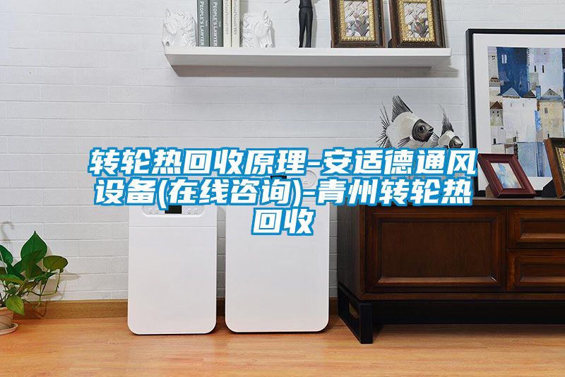 轉(zhuǎn)輪熱回收原理-安適德通風(fēng)設(shè)備(在線咨詢)-青州轉(zhuǎn)輪熱回收