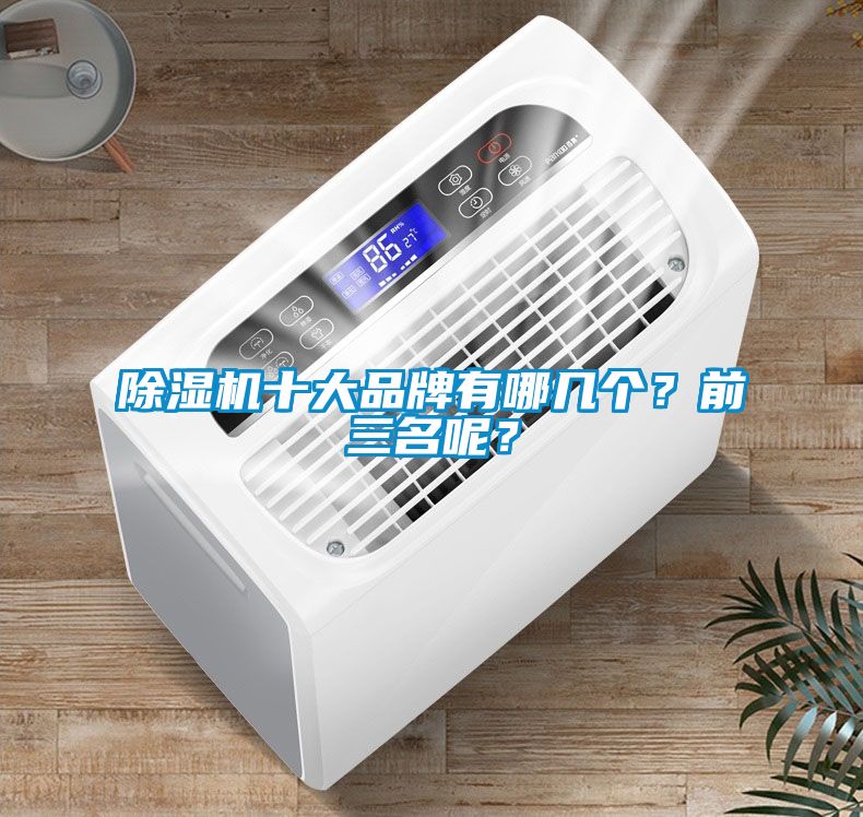 除濕機十大品牌有哪幾個？前三名呢？