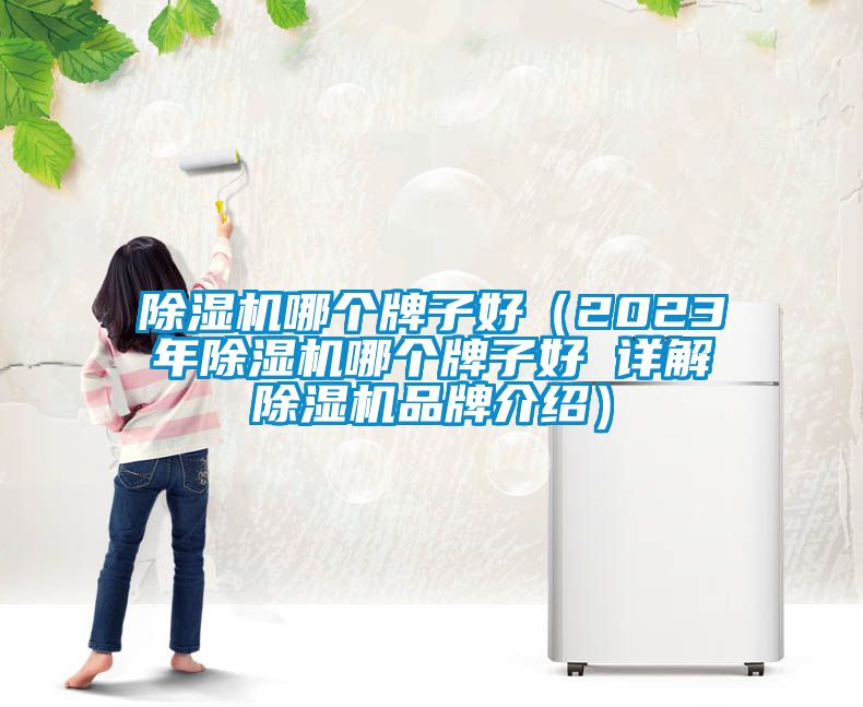 除濕機(jī)哪個(gè)牌子好（2023年除濕機(jī)哪個(gè)牌子好 詳解除濕機(jī)品牌介紹）