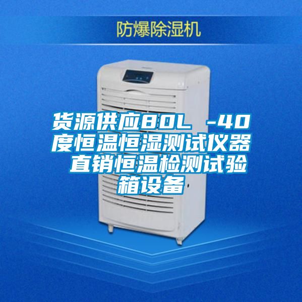 貨源供應(yīng)80L -40度恒溫恒濕測(cè)試儀器 直銷恒溫檢測(cè)試驗(yàn)箱設(shè)備