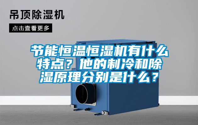 節(jié)能恒溫恒濕機(jī)有什么特點(diǎn)？他的制冷和除濕原理分別是什么？