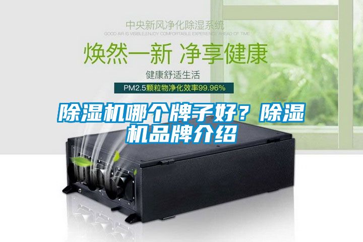 除濕機(jī)哪個(gè)牌子好？除濕機(jī)品牌介紹