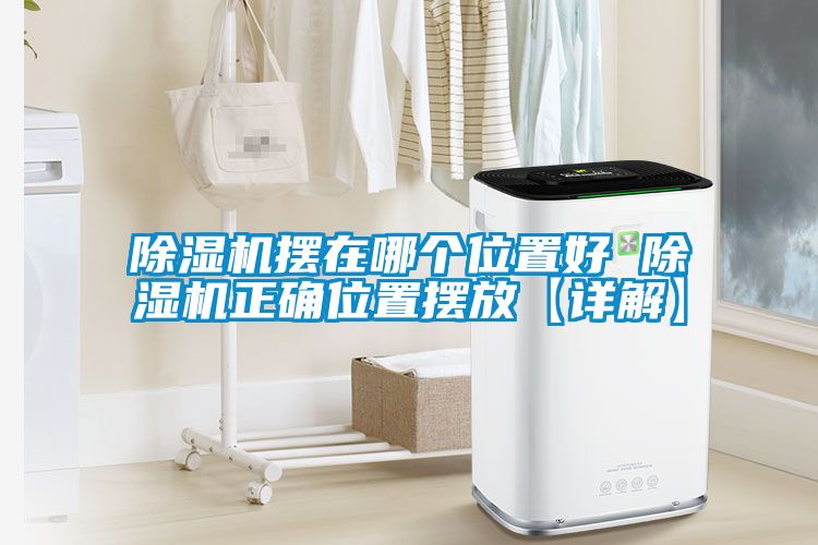 除濕機(jī)擺在哪個位置好 除濕機(jī)正確位置擺放【詳解】