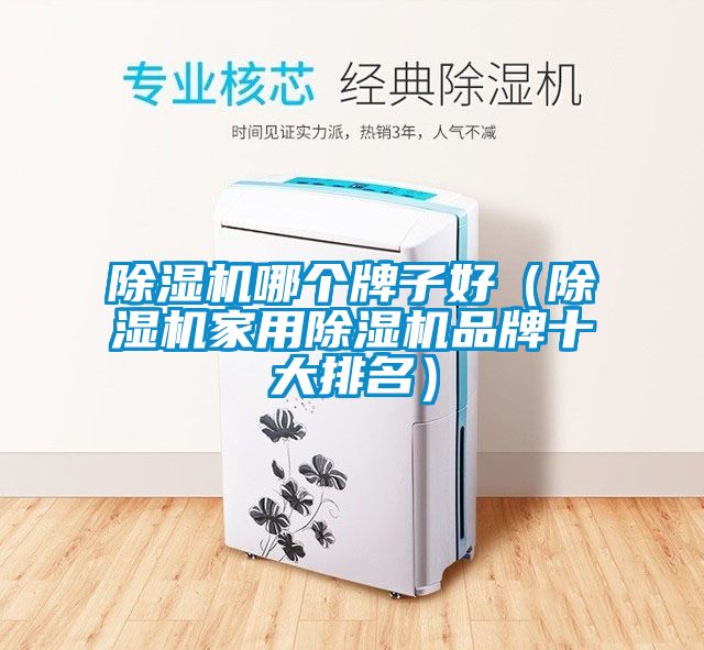 除濕機(jī)哪個(gè)牌子好（除濕機(jī)家用除濕機(jī)品牌十大排名）